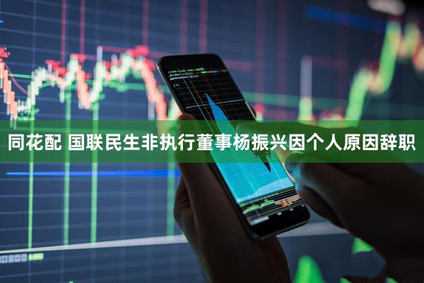 同花配 国联民生非执行董事杨振兴因个人原因辞职